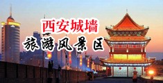黑妞肛交中国陕西-西安城墙旅游风景区